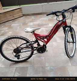 Bicicletta Mountain bike 