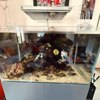 Luci per acquario marino