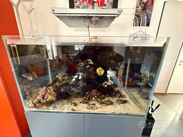 Luci per acquario marino