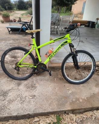 Mountain bike