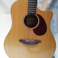 Breedlove passport plus d250/sbe elettrificata - m
