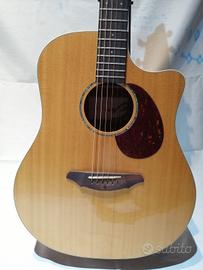 Breedlove passport plus d250/sbe elettrificata - m