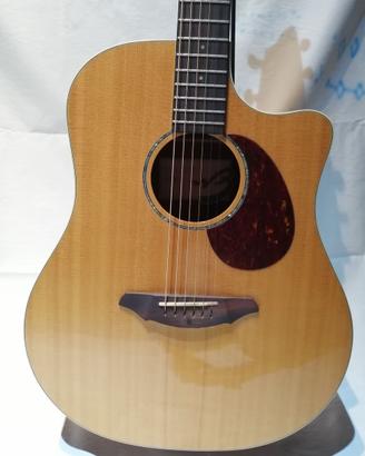Breedlove passport plus d250/sbe elettrificata - m