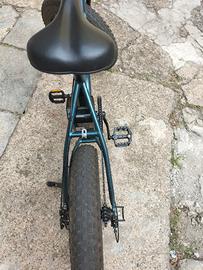 bici elettrica 