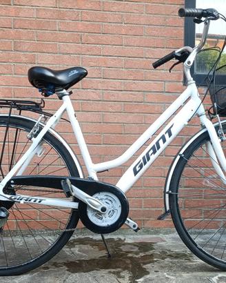 Bicicletta 28