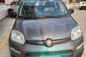 Fiat panda hibrida 2022