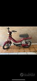 Atala green