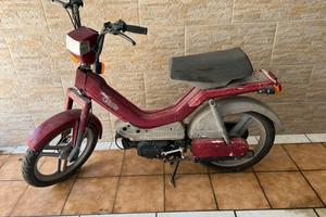 Atala green