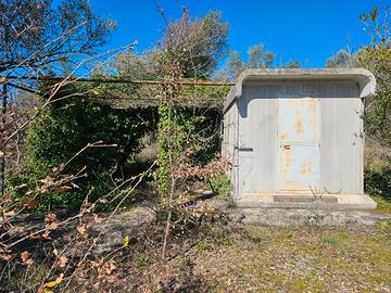 Terreno con uliveto a Loreto Aprutino