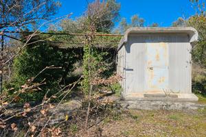 Terreno con uliveto a Loreto Aprutino