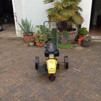 Decespugliatore, trincia erba Ecotech swing 60