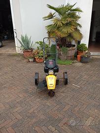 Decespugliatore, trincia erba Ecotech swing 60