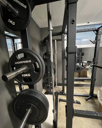 Homegym Lacertosus