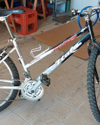 Mountain bike