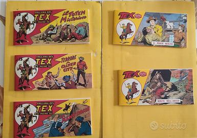 prime uscite Strisce tex audace