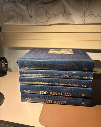 Anastasi: manuali di anatomia e atlanti