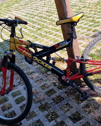 bici ragazzo raggio 24"