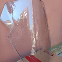 Cupolino e rete mesh  MT 09 YAMAHA 2021