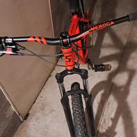 wheelie bike MTB ruote 29'