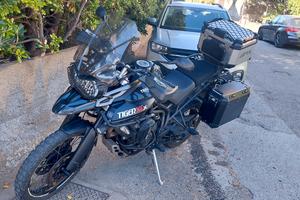 triumph tiger 800