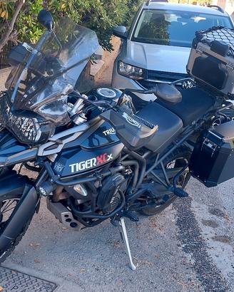 triumph tiger 800