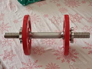 Manubrio palestra 6 kg