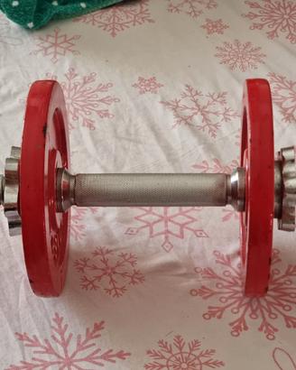 Manubrio palestra 6 kg