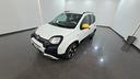 fiat-panda-pandina-cross-1-0-firefly-hybrid-s-s-70