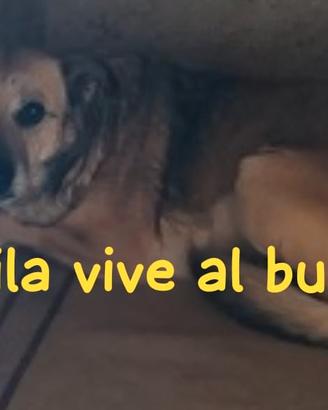 Mila 8 anni taglia media