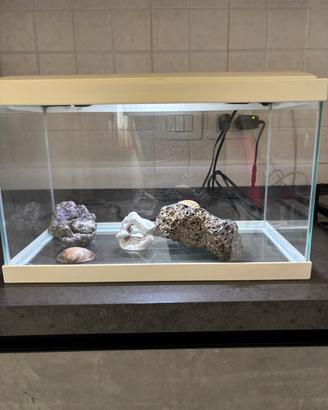 Acquario