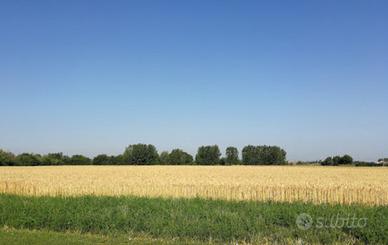 Terreno agricolo