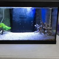 Acquario 60l