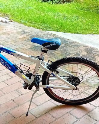 bicicletta ragazzo