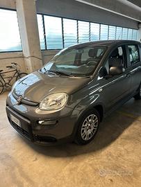 Fiat panda hybrid