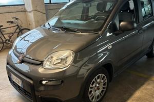 Fiat panda hybrid