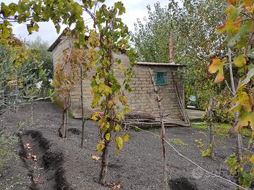 Terreno di 4000 mq con casetta rustica