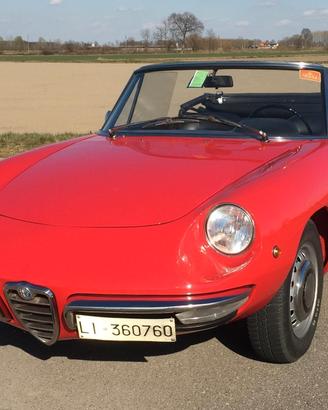 Alfa Romeo Spider JUNIOR