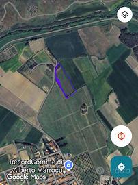 Ussana Tereno agricolo nei pressi del paese