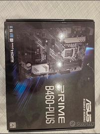 SCHEDA MADRE - Asus prime b460-plus
