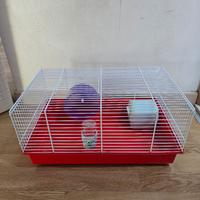 Casa criceto o roditori