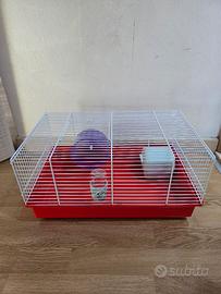 Casa criceto o roditori