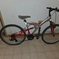 Bicicletta mountain bike