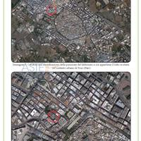 Ufficio Noci [A4346513]