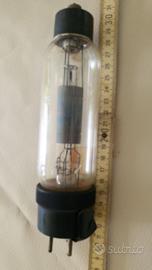 ZENITH W69 VALVOLA TERMOIONICA – DA COLLEZIONE