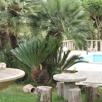 Villa tra Partinico e Trappeto