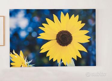 Girasole - Stampa su tela Canvas 120 x80 cm