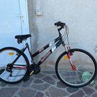 Bici mountan bike