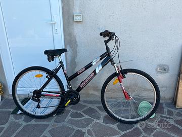 Bici mountan bike