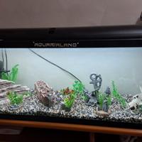 Acquario 100 lt