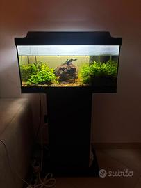 Acquario Tetra 54 litri con mobile